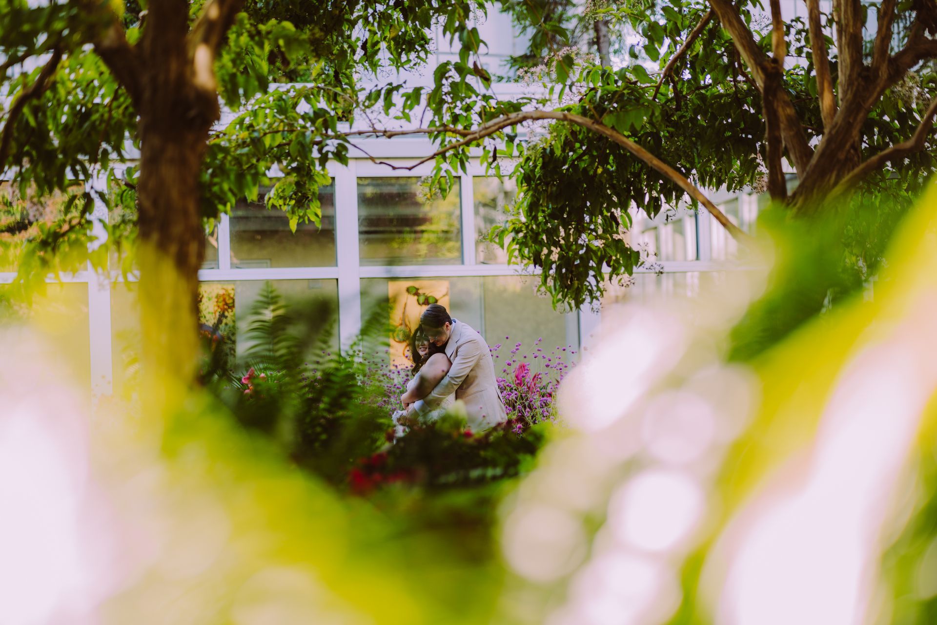 Couple embracing outside a building, framed by lush green foliage. Sunlight illuminates the scene. 