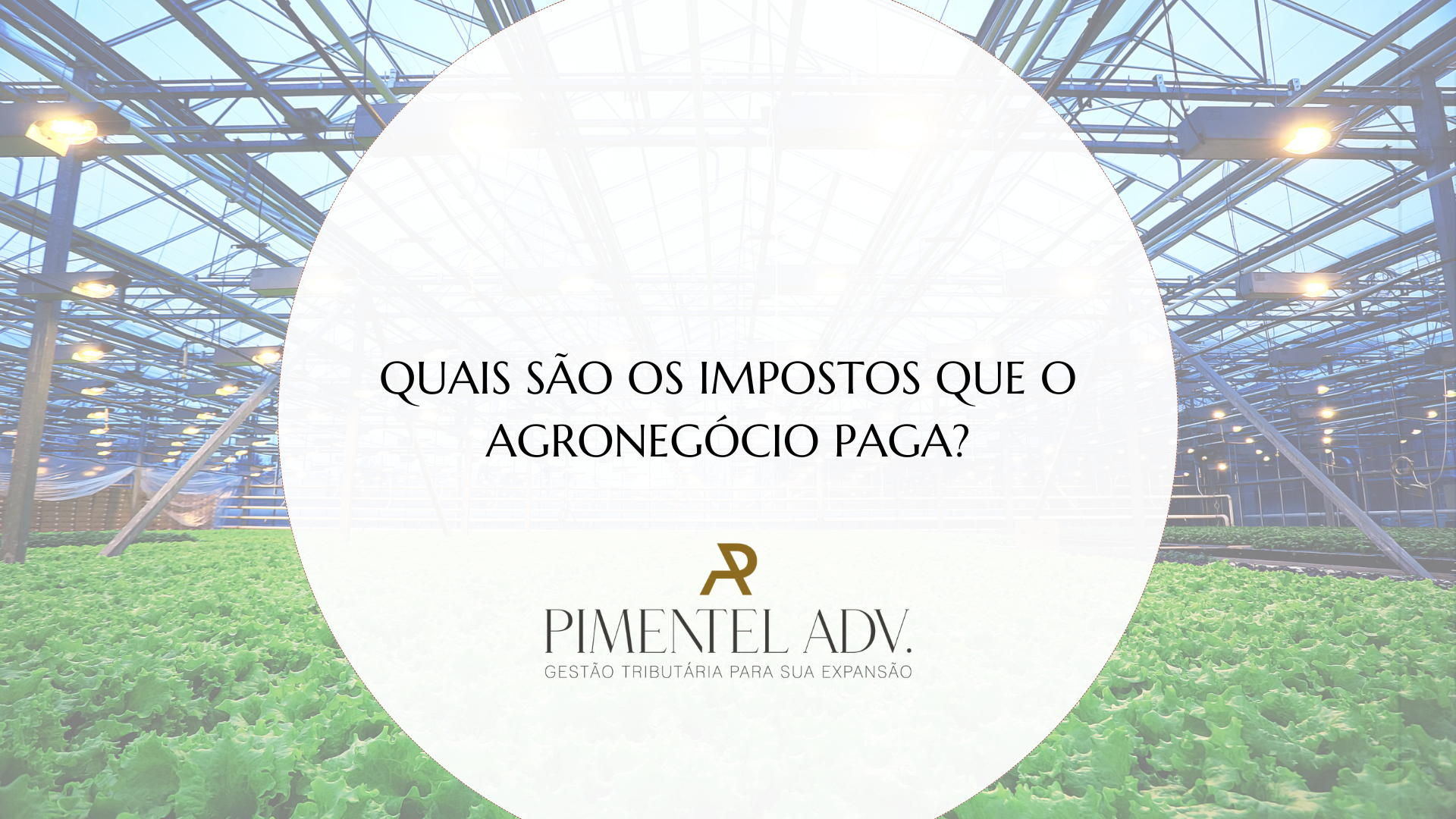 Produtor rural analisando quais impostos o agronegócio paga e a tributação da atividade rural