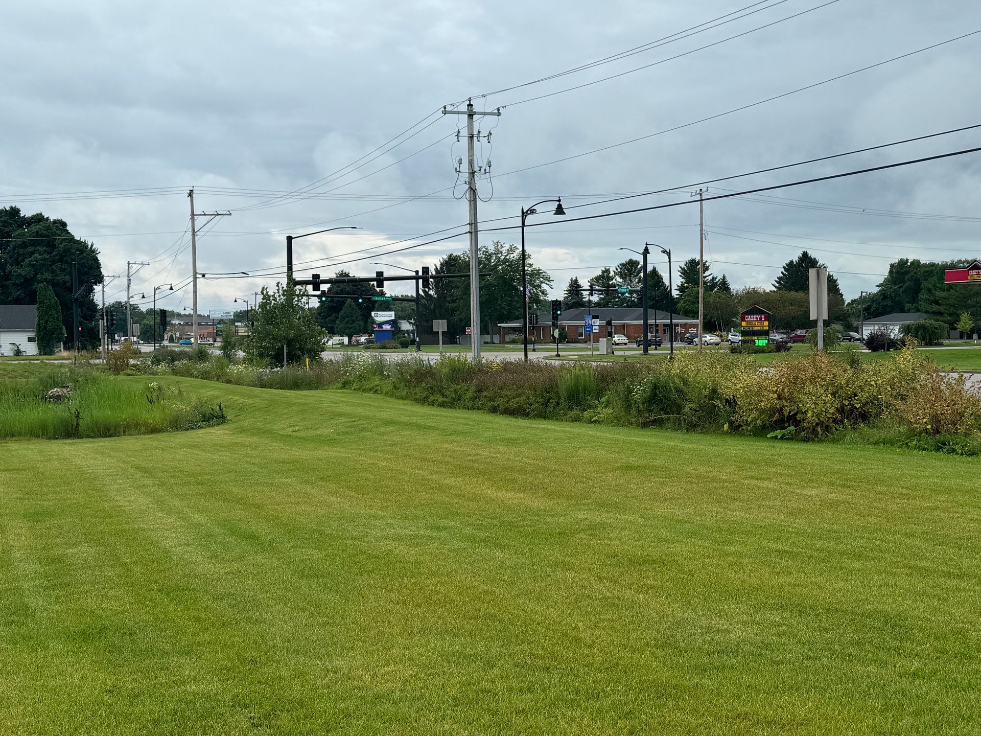 A grassy field with a lot of power lines in the background.