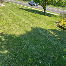 A car is driving down a grassy hill next to a road.