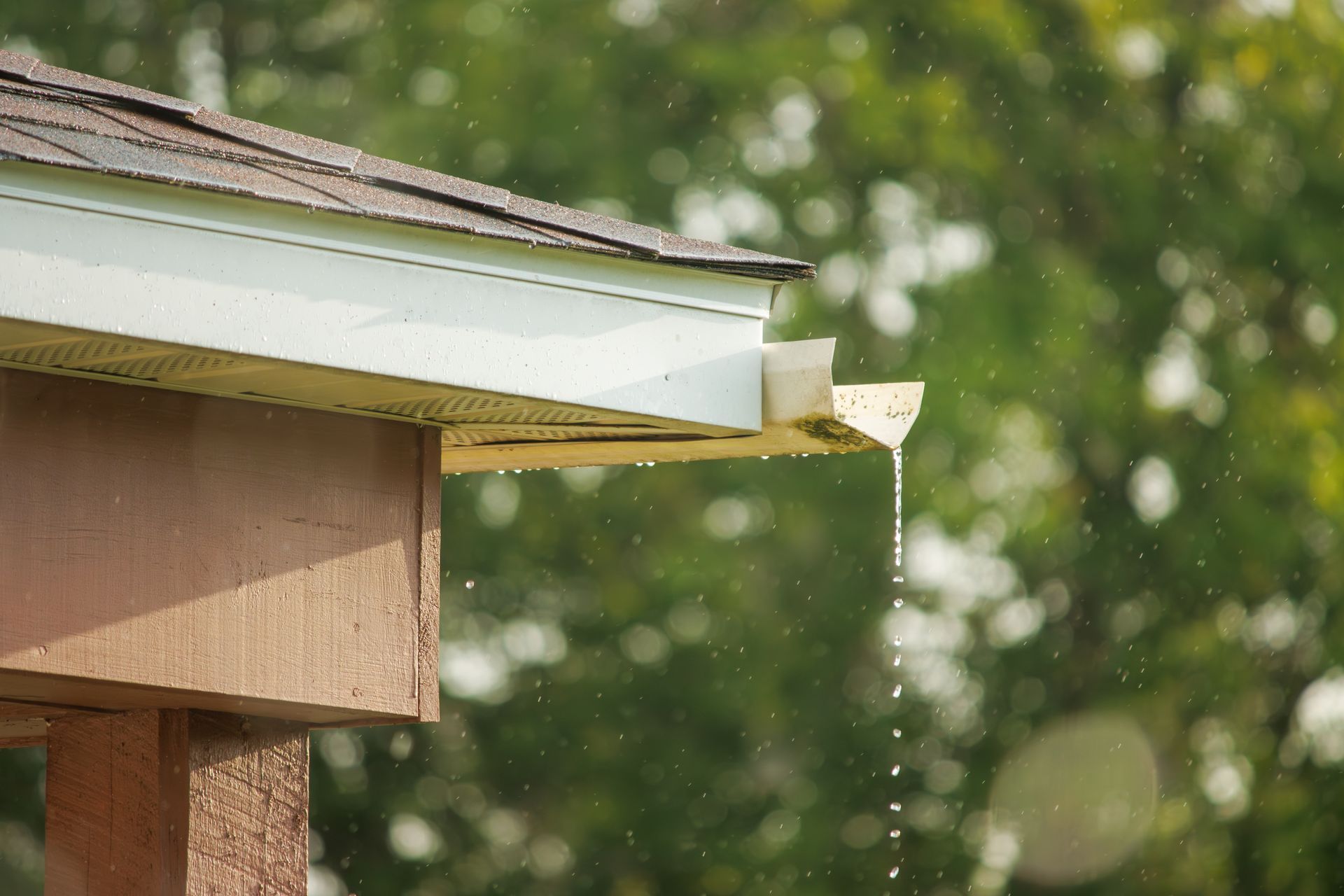 Rainwater flowing from a gutter. Rainwater flowing from a gutter.