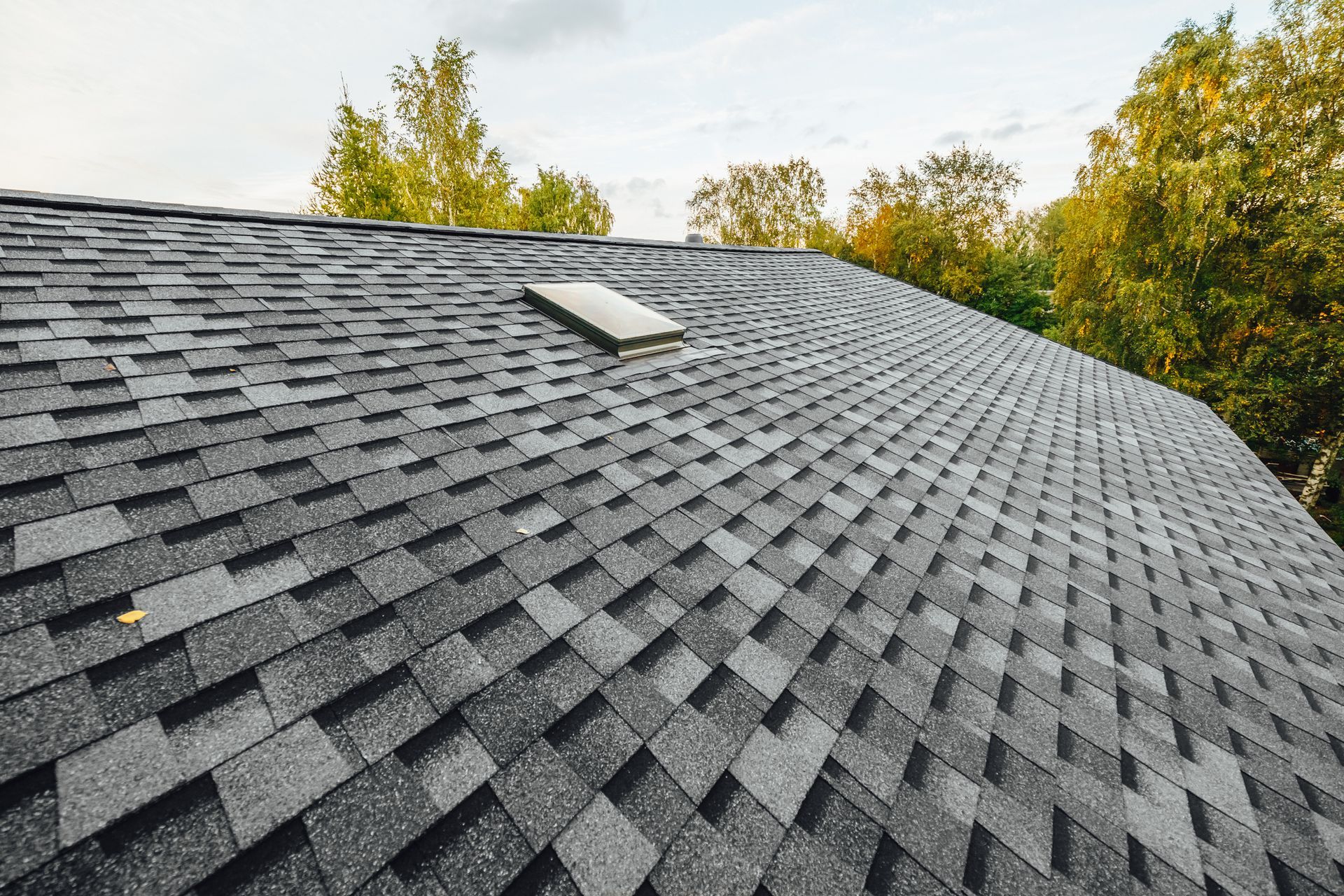 Close-up of a dark grey asphalt shingle roof with a skylight, trees in background.