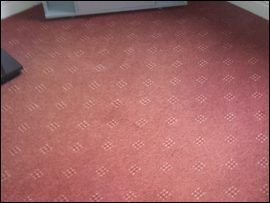 cleaned carpet