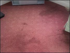 soiled carpet