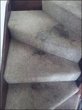 dirty stair carpet
