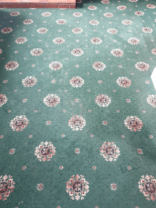 patterned carpet that needs cleaning