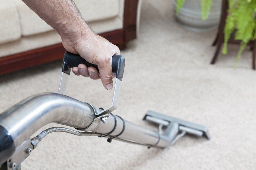 Professional cleaning of the upholstery on a sofa