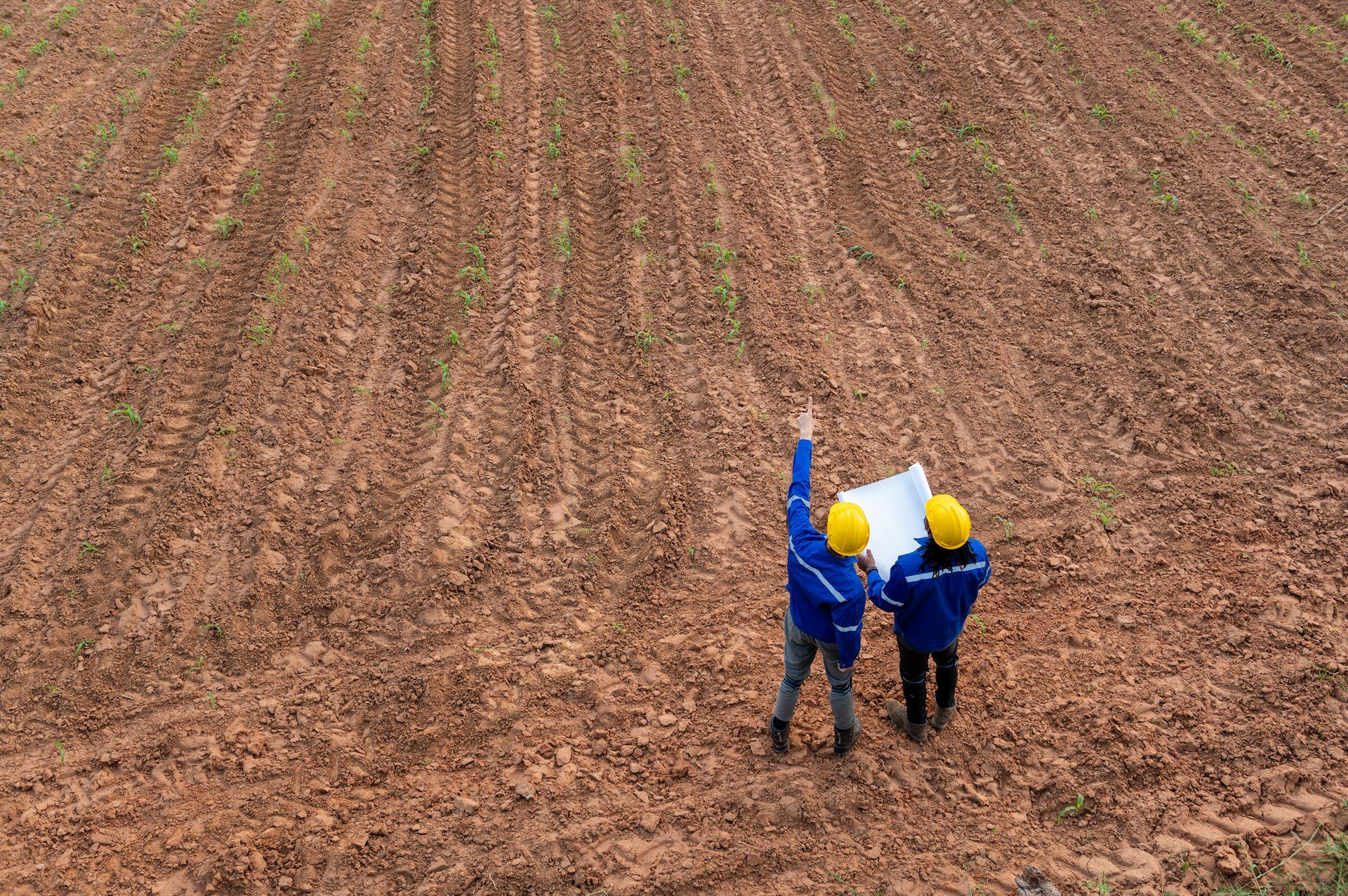 Two people in yellow hard hats and blue jackets reviewing blueprints in a cultivated field, one pointing upwards.