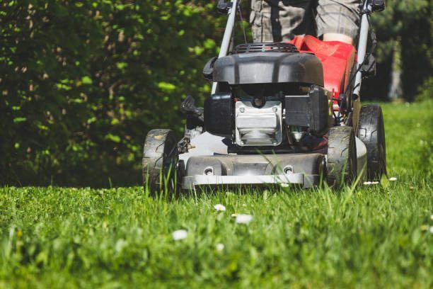 Lawn Care Using a Lawn Mower