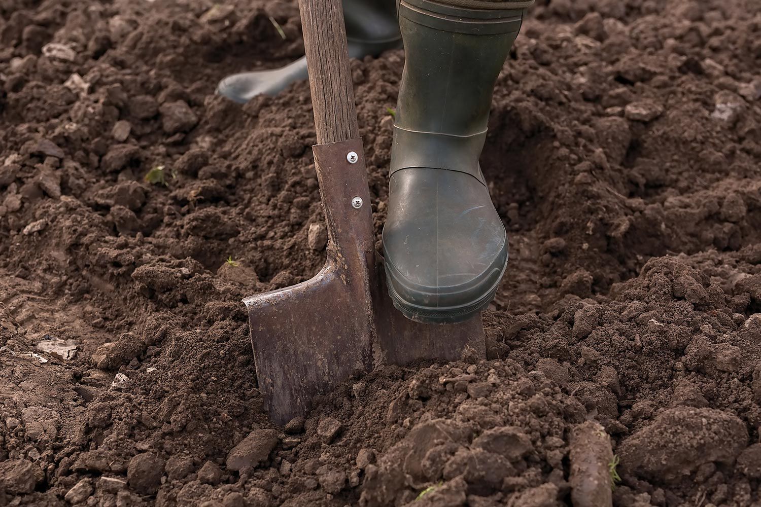 Soil in the Backyard