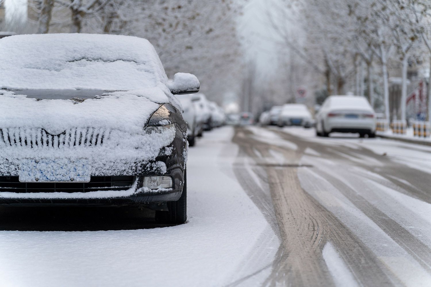 Parked Cars Covered by the Snow
