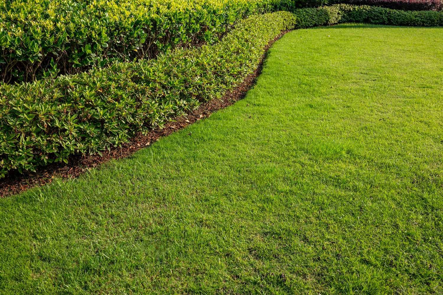 Installed Sod in Garden