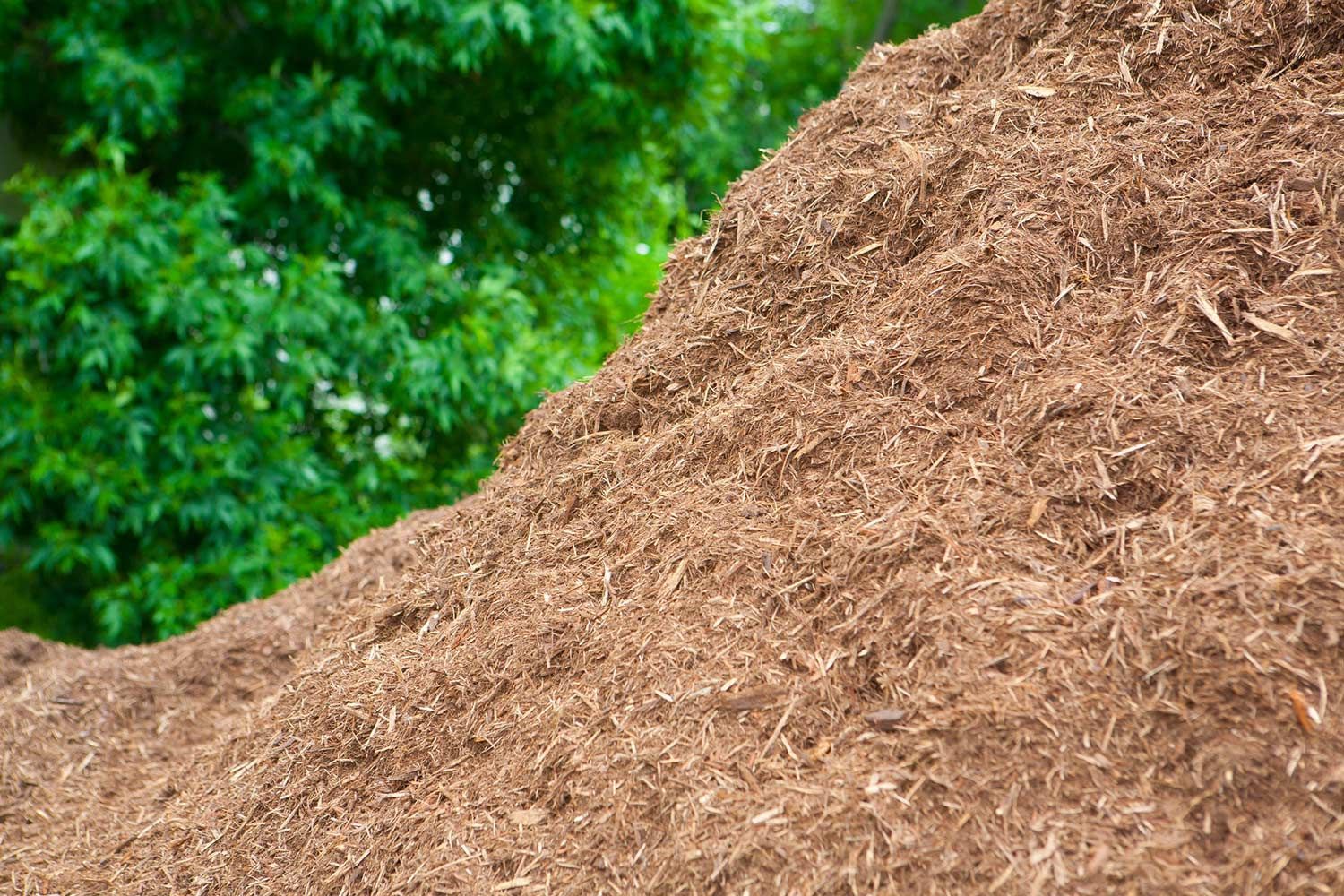 Pile of Mulch in a Backyard