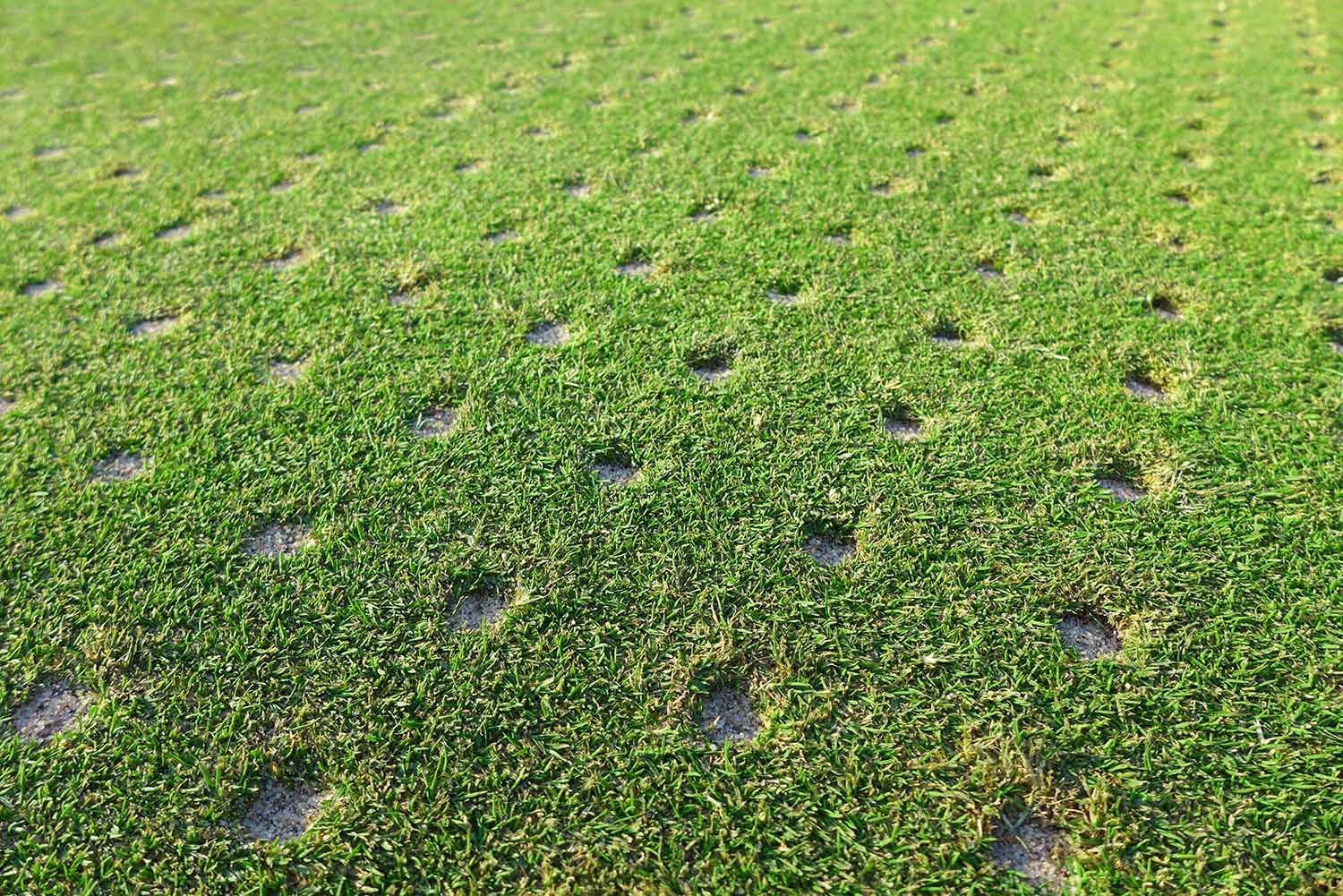 Lawn Aeration Service