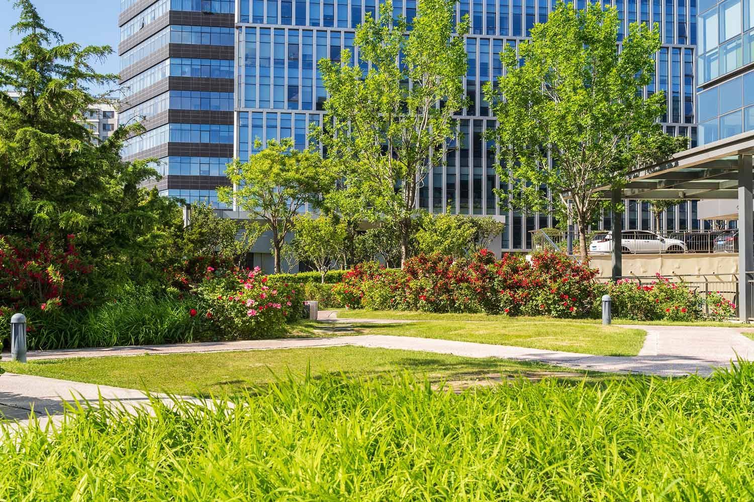 Commercial Lawn Care