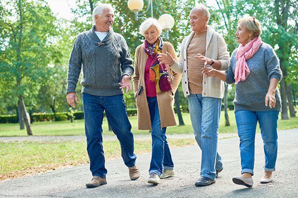 Seniors Walking In The Park — St. Louis, Missouri — Opulence Estate Solutions