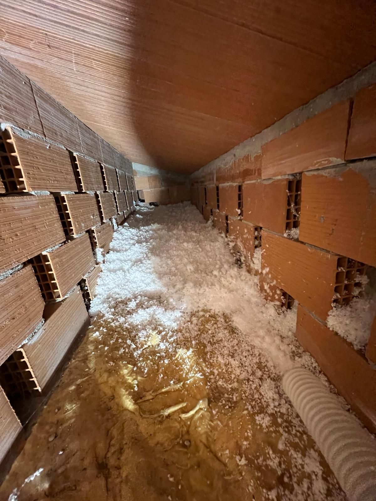 Casa con pareti esterne rosse