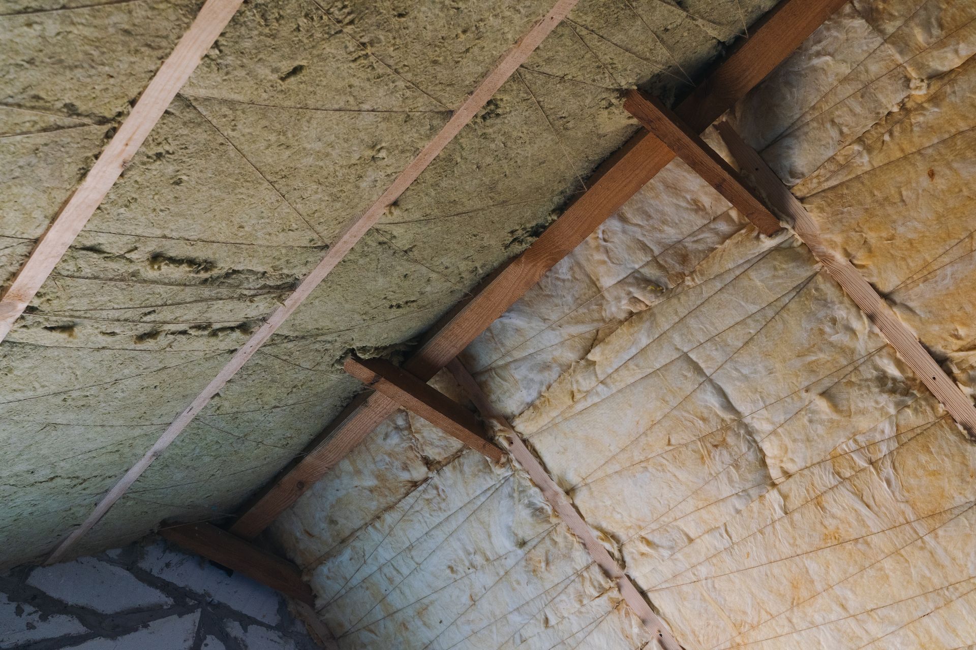 Una piscina con vista sull'oceano e un albero sullo sfondo