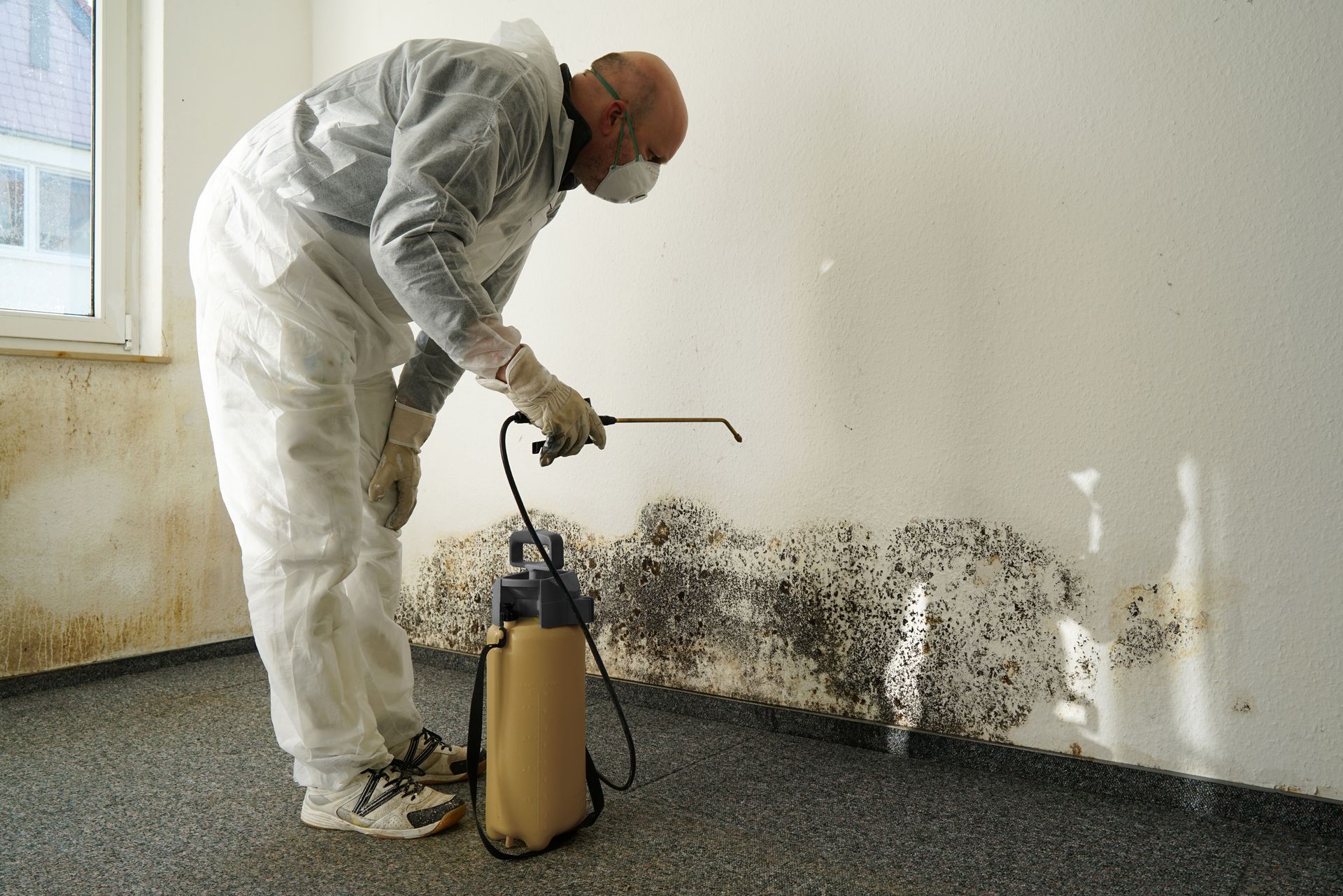 A person in protective gear uses a spray pump to treat black mold growing along the base of a white wall.