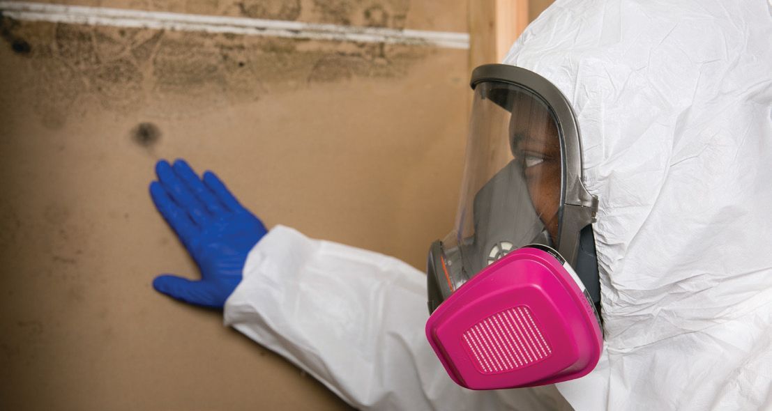 A professional in a white hazmat suit and mask inspects a water-damaged wall with visible mold growth.