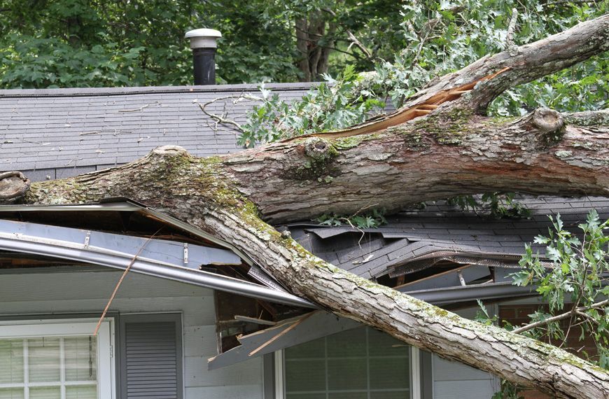 A large tree limb has fallen and damaged the roof and siding of a house.