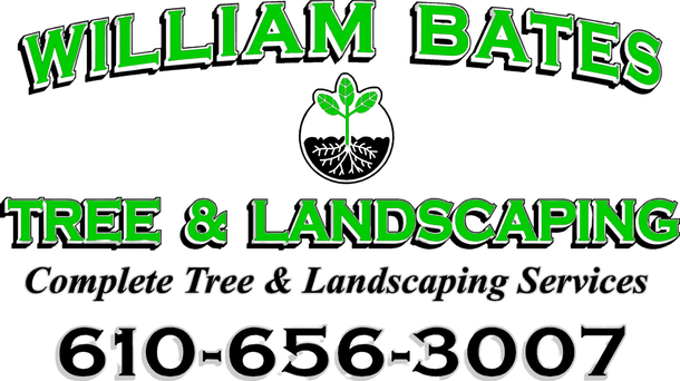 William Bates Tree Service and Landscaping