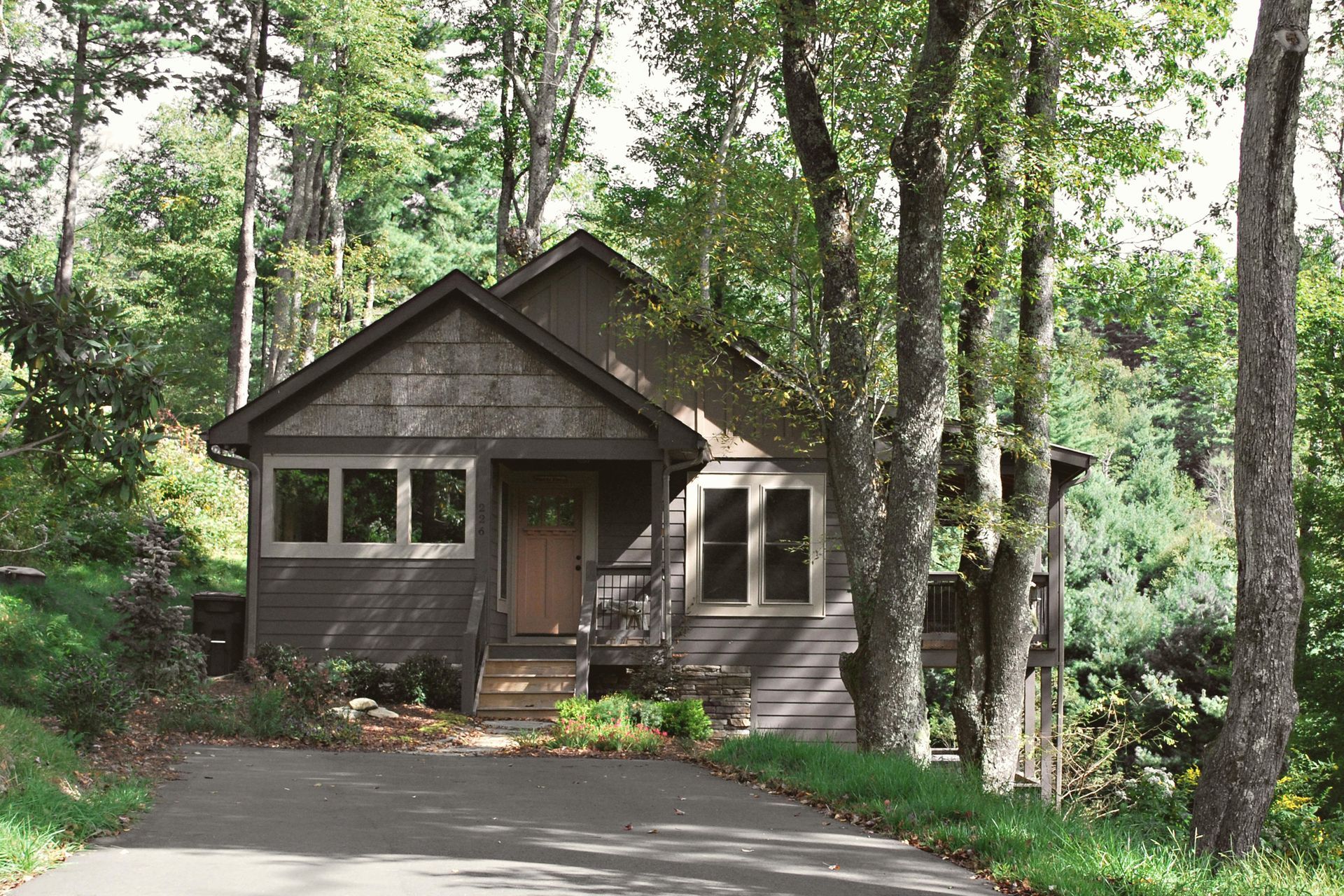 A cozy cottage home nestled amond the trees