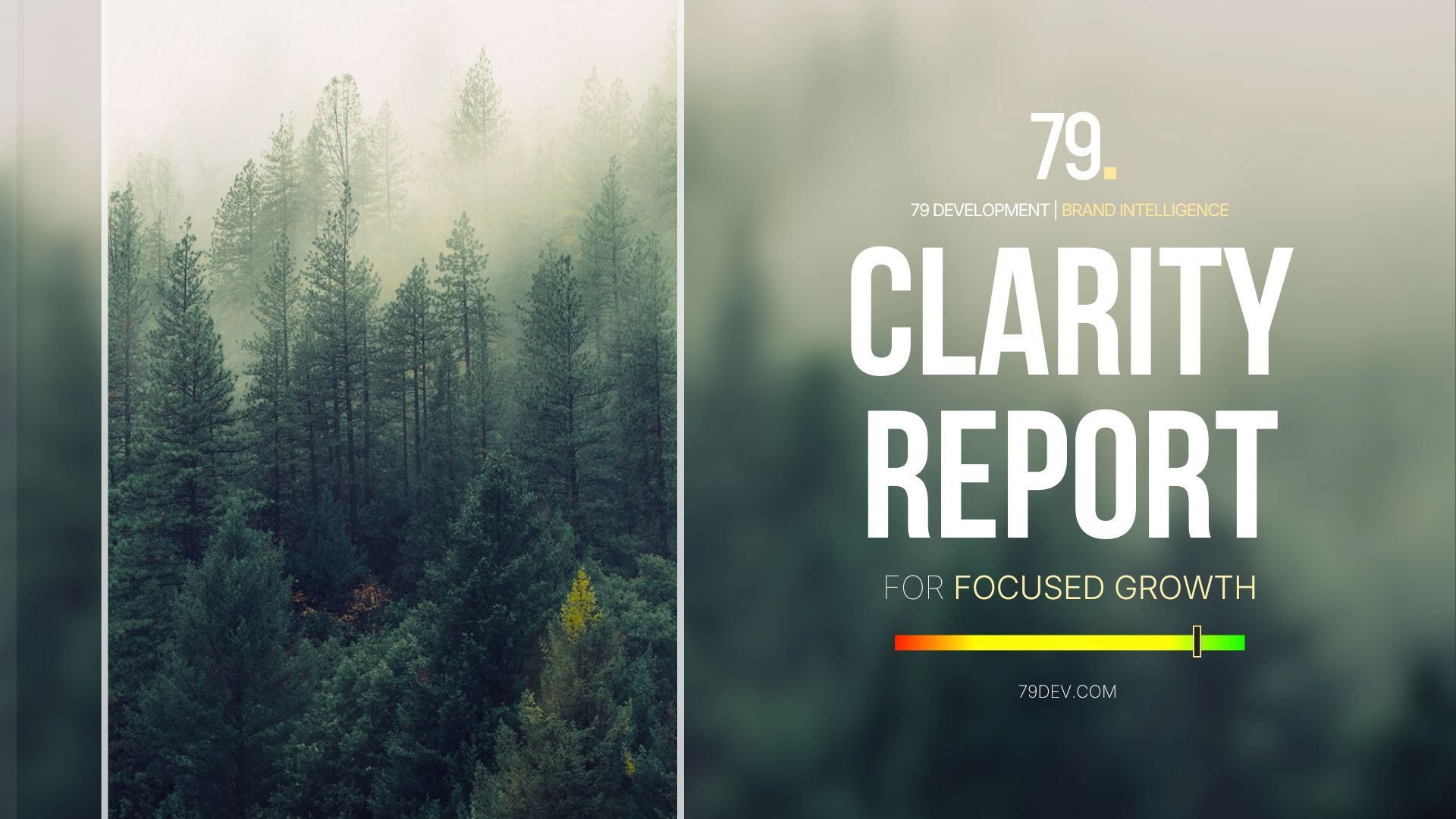 Forest scene with fog. Clarity Report title with a focused growth progress bar.