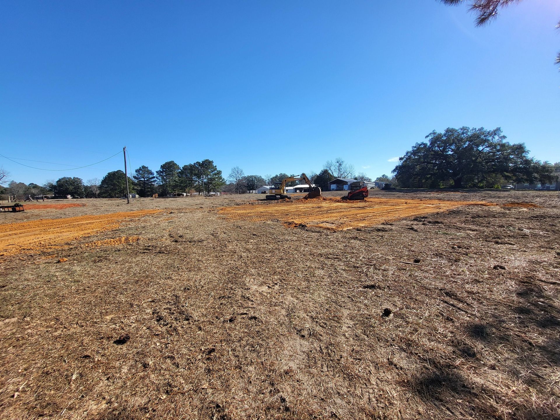 Clearing of a field under a bright blue sky, with woodchips visible.