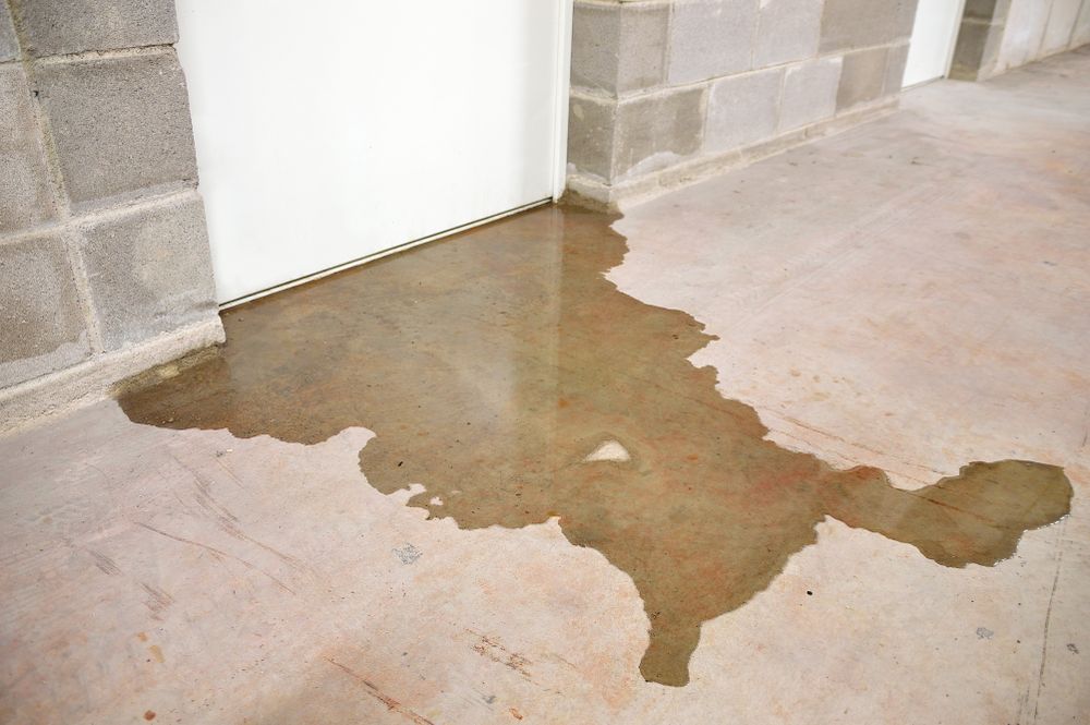 A Puddle Of Water On The Floor Of A Basement Next To A Door — Lindfield’s Big Red Carpet Cleaning & Pest Control in Nabiac, NSW