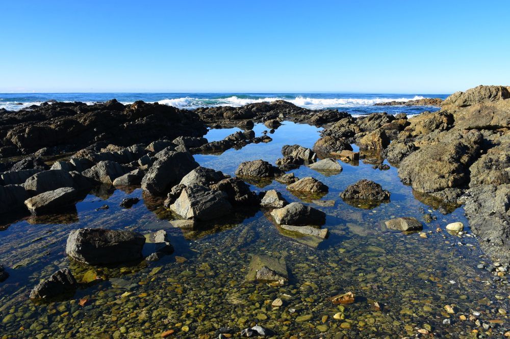A Rocky Shoreline With A Body Of Water Surrounded By Rocks — Lindfield’s Big Red Carpet Cleaning & Pest Control in Hallidays Point, NSW