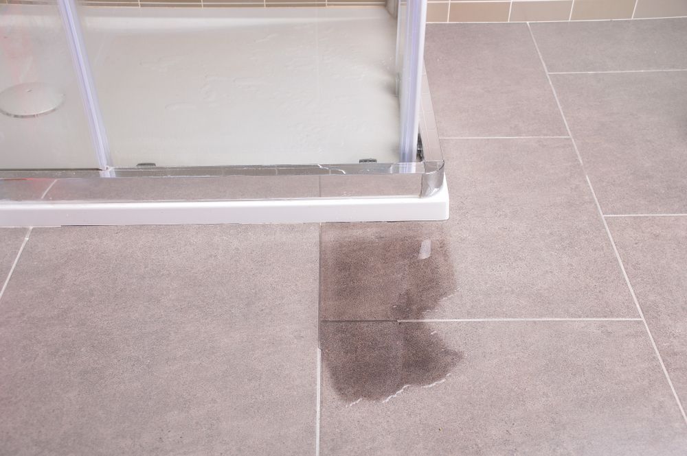 A Wet Tile Floor In A Bathroom Next To A Shower Stall — Lindfield’s Big Red Carpet Cleaning & Pest Control in Tallwoods Village, NSW