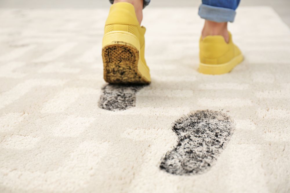 A Person Is Walking On A Carpet And Leaving A Footprint — Lindfield’s Big Red Carpet Cleaning & Pest Control in Cundletown, NSW