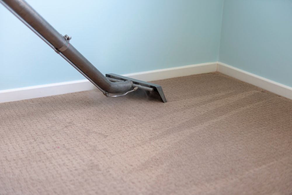 A Vacuum Cleaner Is Cleaning A Carpet In A Room — Lindfield’s Big Red Carpet Cleaning & Pest Control in Hallidays Point, NSW