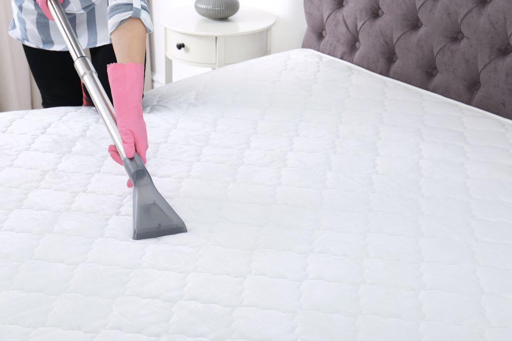 A Woman Is Cleaning A Mattress With A Vacuum Cleaner — Lindfield’s Big Red Carpet Cleaning & Pest Control in Diamond Beach, NSW