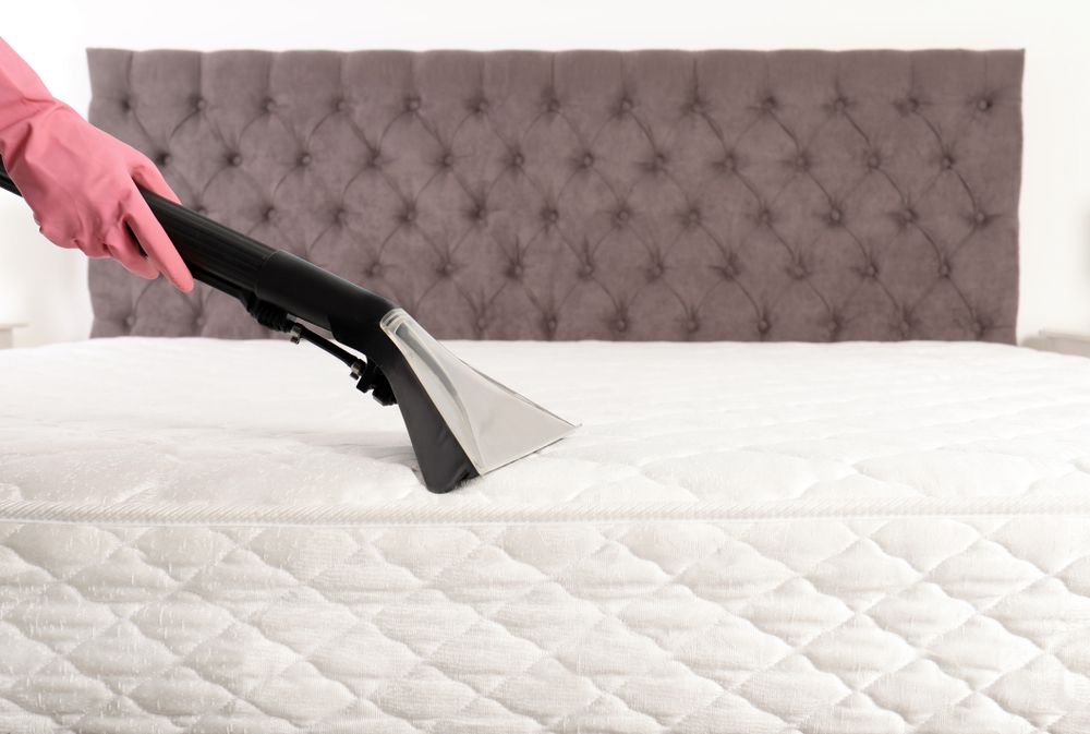 A Person Is Cleaning A Mattress With A Vacuum Cleaner — Lindfield’s Big Red Carpet Cleaning & Pest Control in Cundletown, NSW