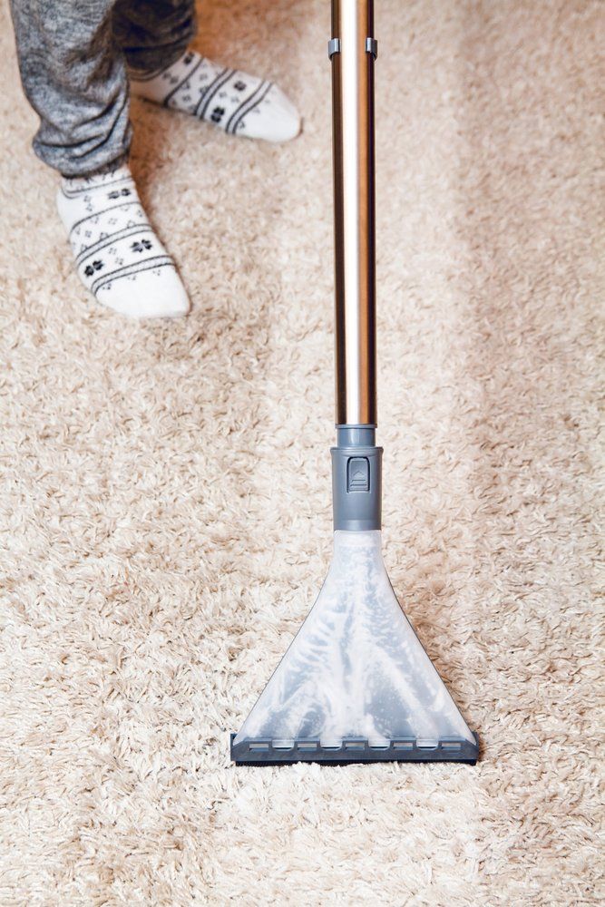 A Person Is Using A Vacuum Cleaner To Clean A Carpet — Lindfield’s Big Red Carpet Cleaning & Pest Control in Taree, NSW