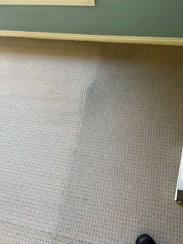 Beige Carpet With a Noticeable Dark Stain in the Center