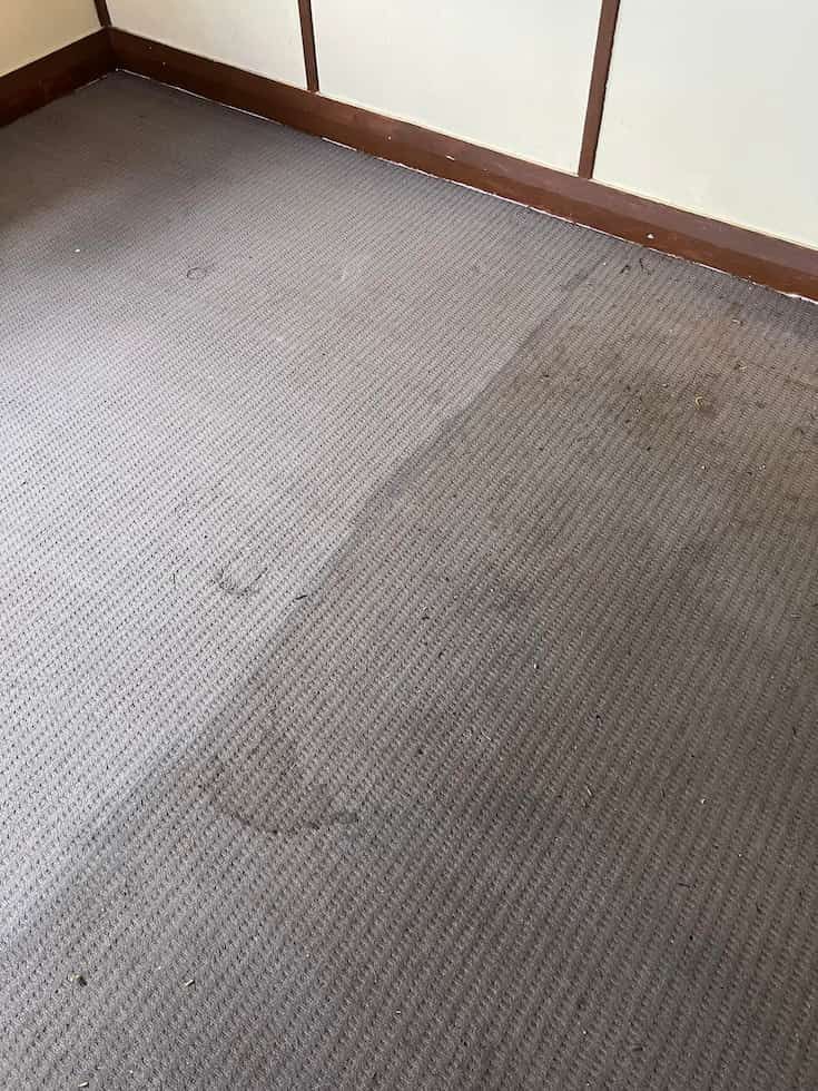 Gray Carpeted Floor With Visible Dirt and Stains