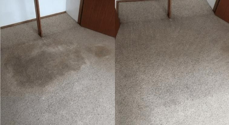 A Before And After Photo Of A Carpet In A Room — Lindfield’s Big Red Carpet Cleaning & Pest Control in Taree, NSW