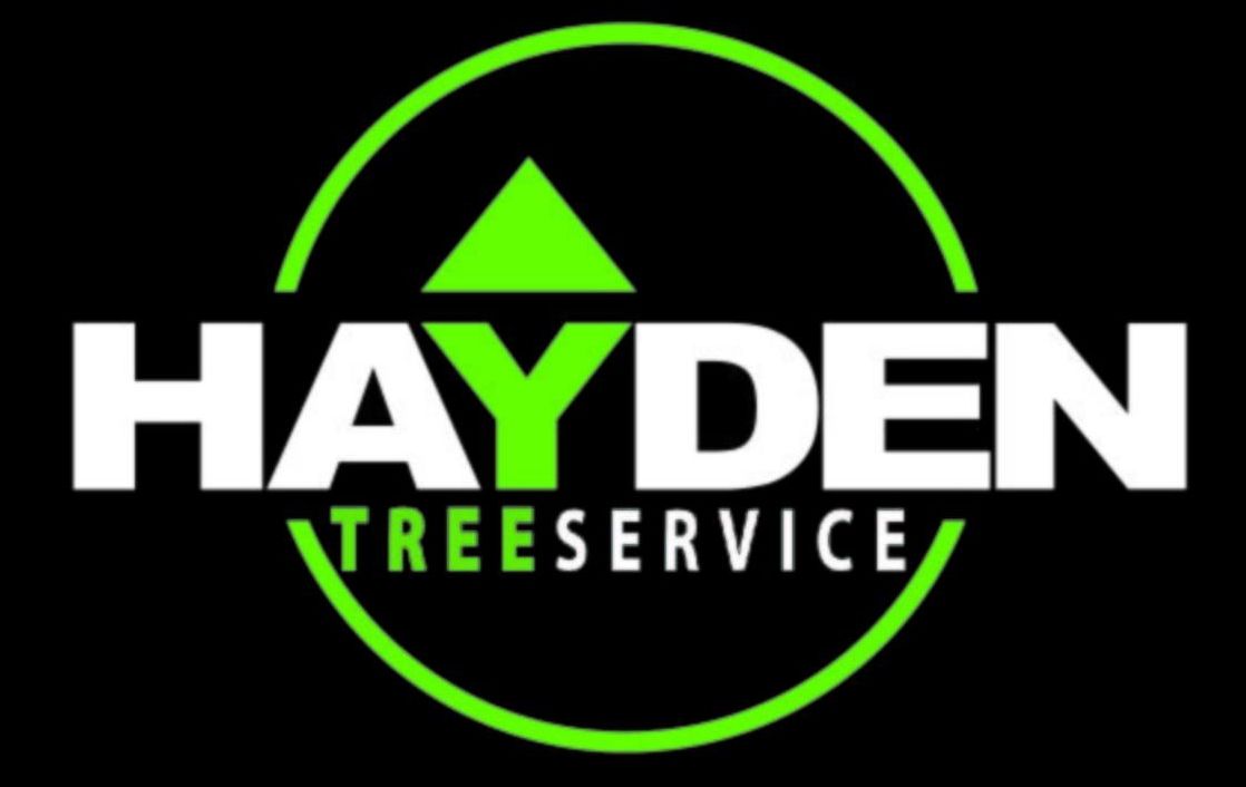 Hayden Tree Service: 
Certified Arborist on the Central Coast and South Lake Macquarie