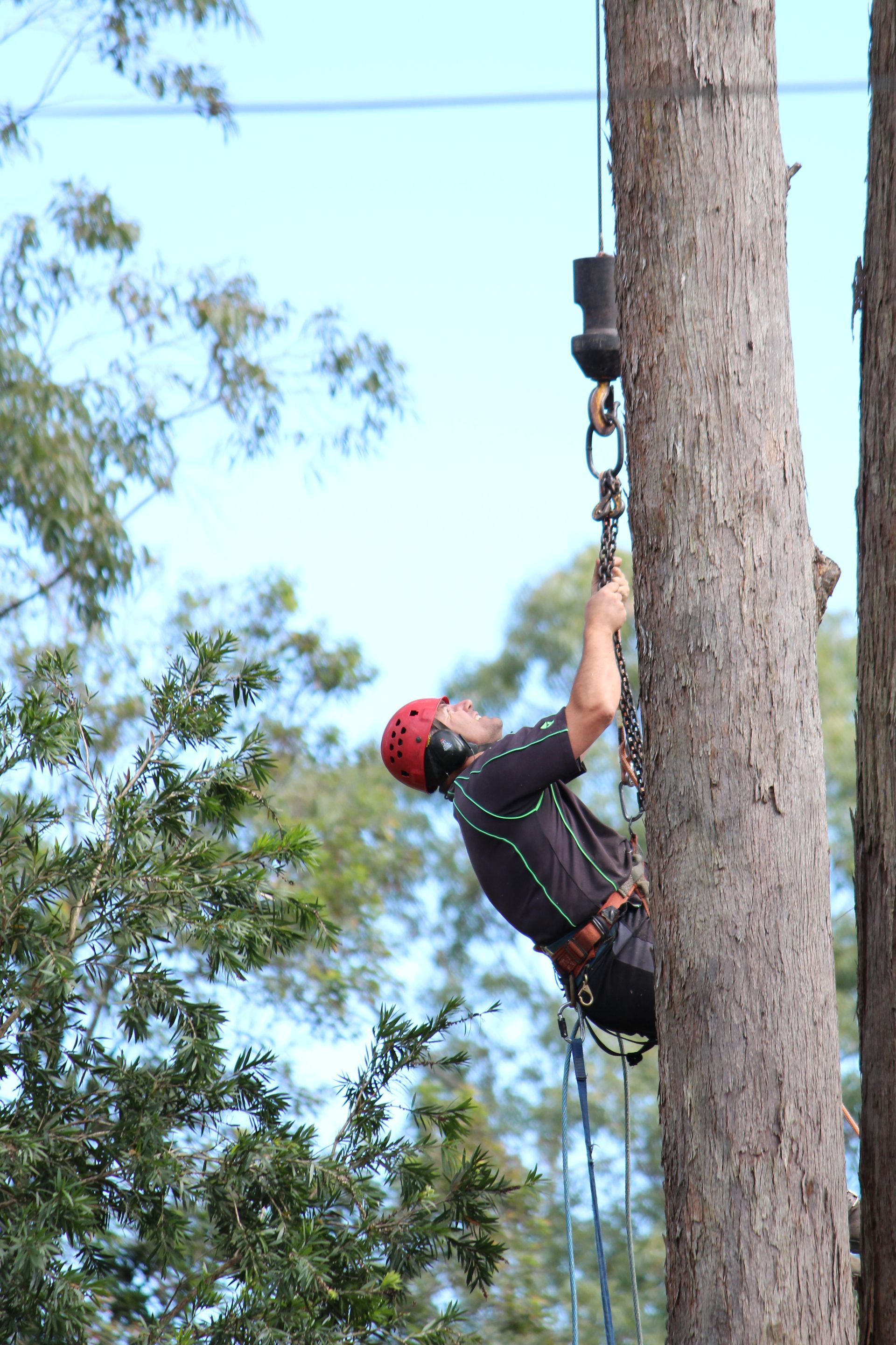 Wood Chipper Machine Cutting Branches — Hayden Tree Service In Cooranbong, NSW