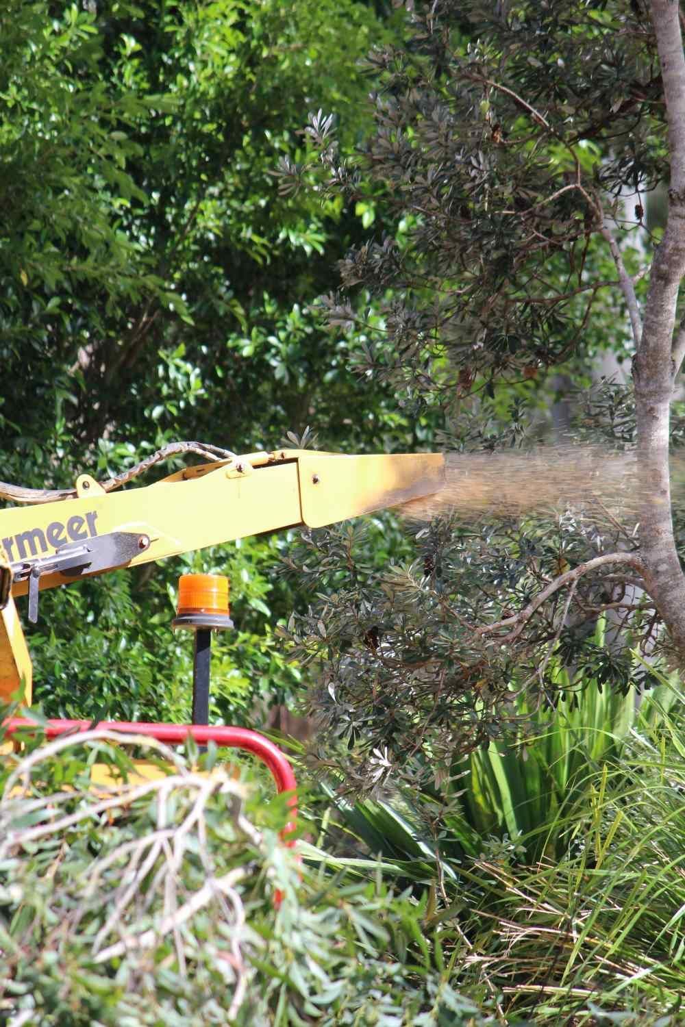 Mulching Machine Used to Shred Tree Branches — Hayden Tree Service In Cooranbong, NSW