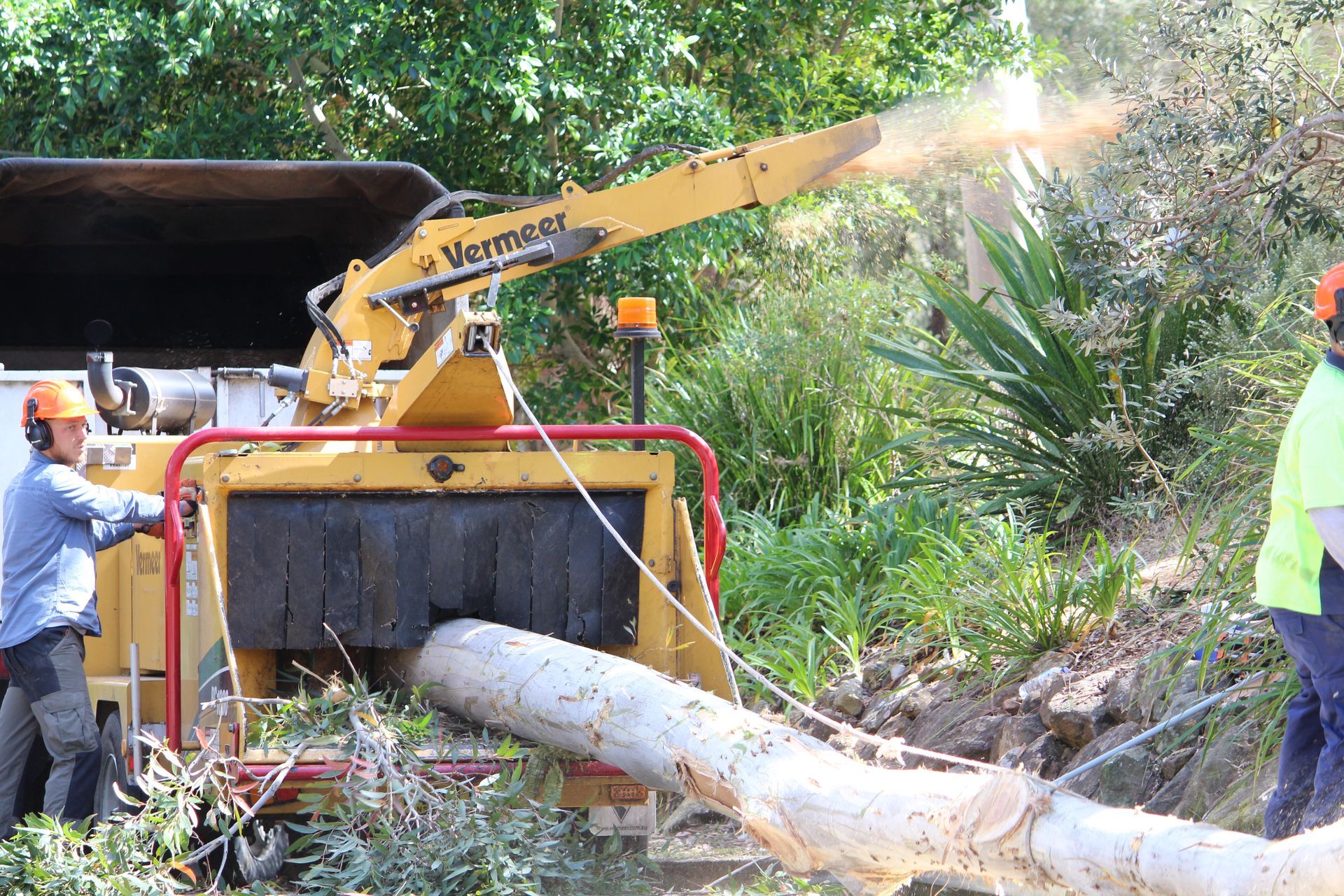 Two Arborists Using A Wood Chipper to Cut Trees — Hayden Tree Service In Cooranbong, NSW