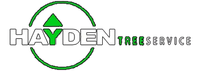 Hayden Tree Service: Certified Arborist on the Central Coast