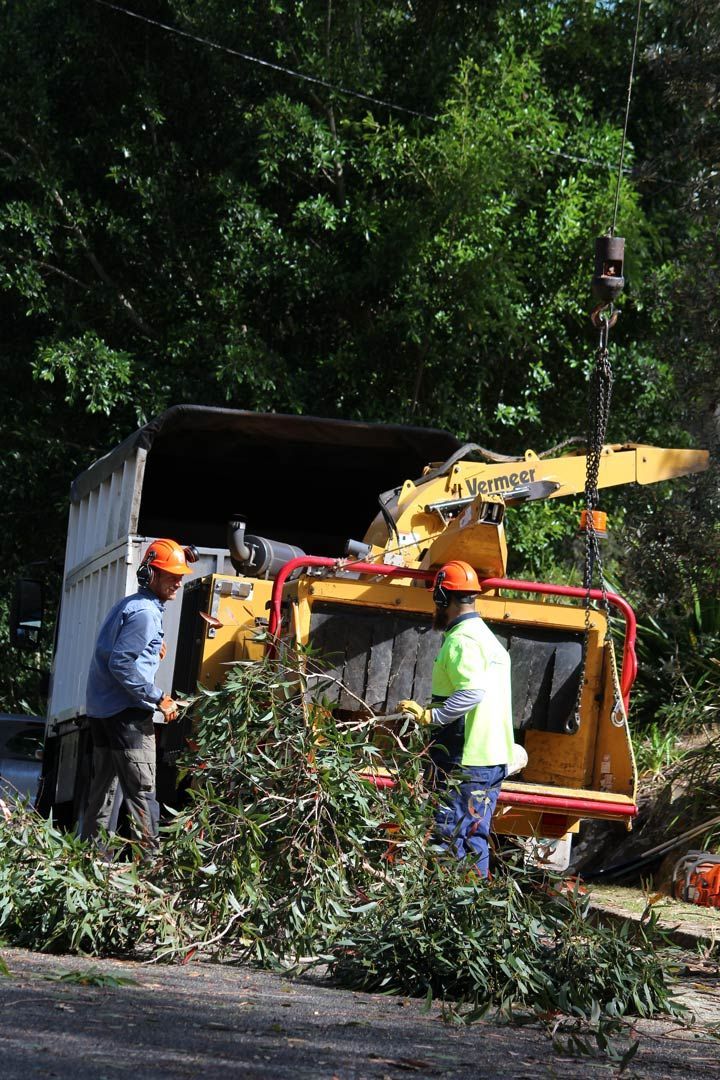 Two Male Arborist Placing Branches into a  Working Wood Chipper Machine — Hayden Tree Service In Cooranbong, NSW