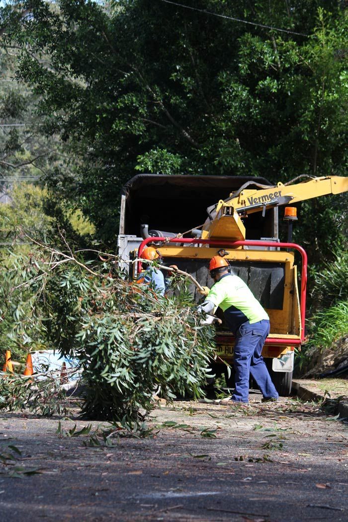 Two Workers Clearing The Tree Branches Using a Wood Chipper — Hayden Tree Service In Cooranbong, NSW