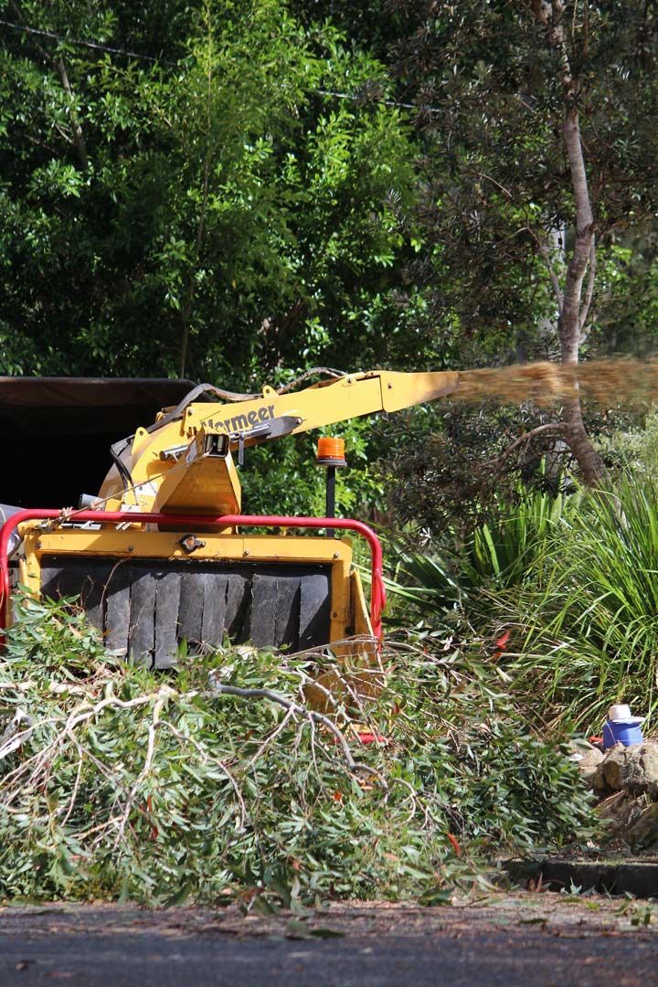 A Yellow and Red Machine Is Cutting Trees — Hayden Tree Service In Wyong, NSW