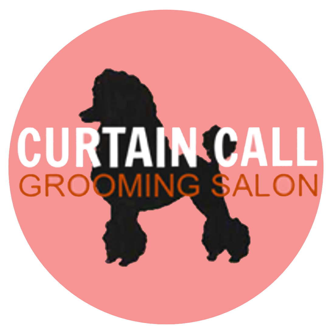 Curtain Call Grooming Salon