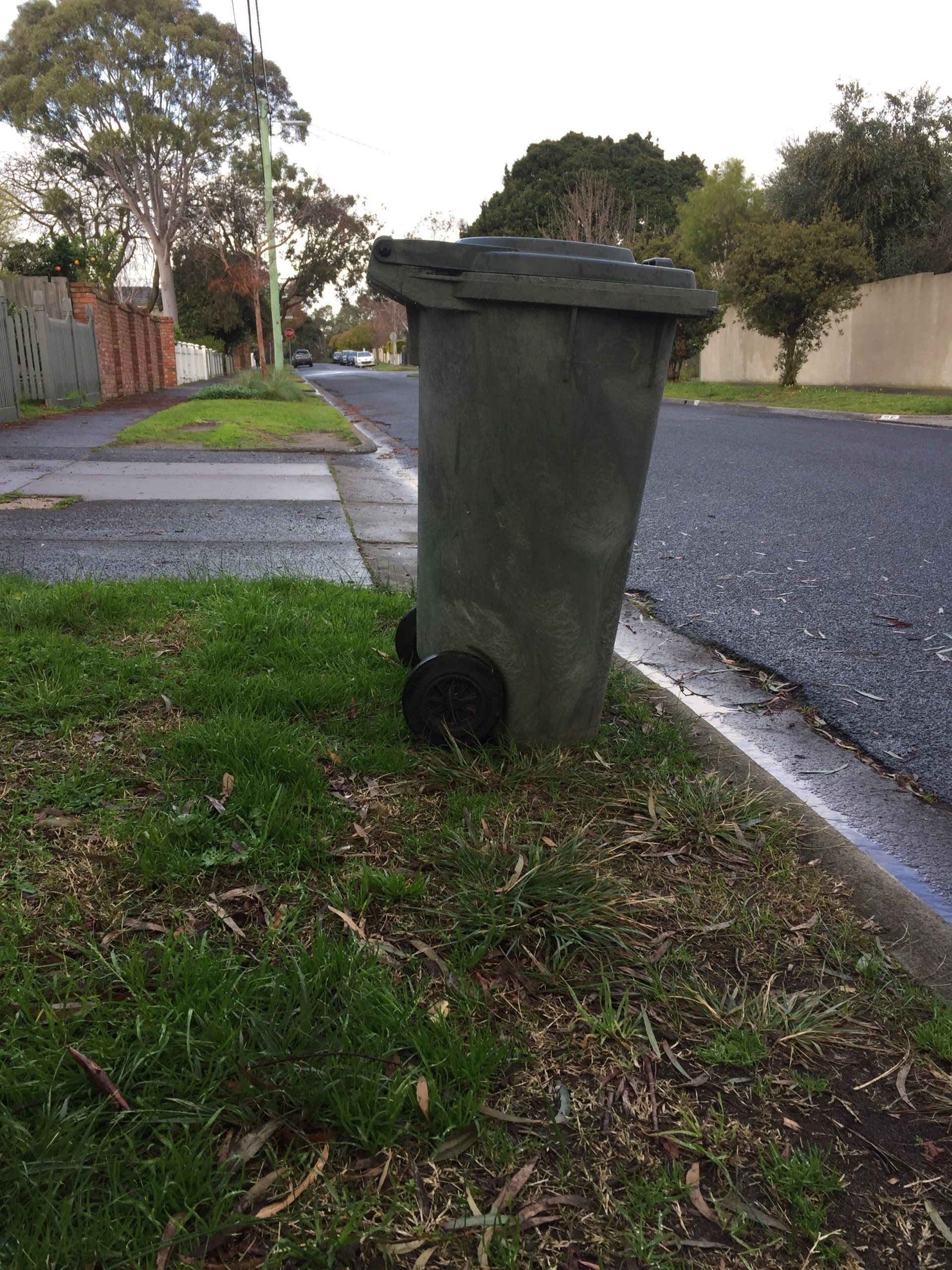 Bin wheeled out to the curb waiting for collection